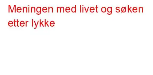 Meningen med livet og søken etter lykke