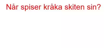 Når spiser kråka skiten sin