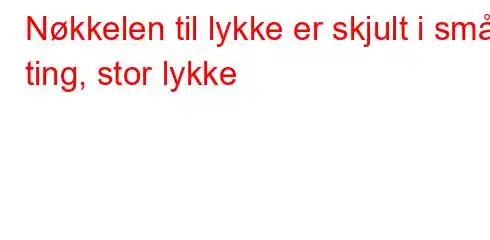 Nøkkelen til lykke er skjult i små ting, stor lykke