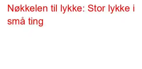 Nøkkelen til lykke: Stor lykke i små ting