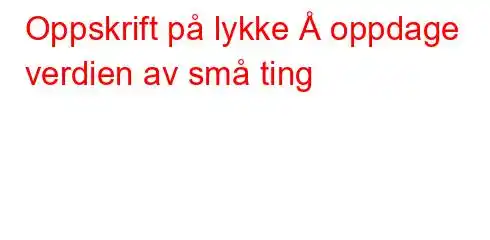 Oppskrift på lykke Å oppdage verdien av små ting