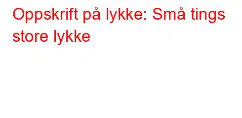 Oppskrift på lykke: Små tings store lykke