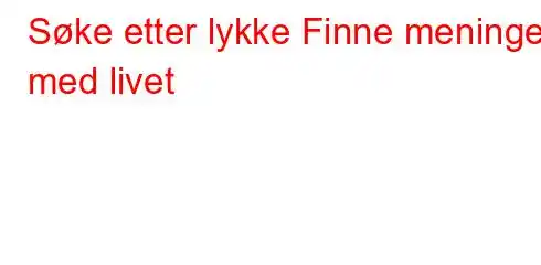 Søke etter lykke Finne meningen med livet