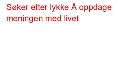 Søker etter lykke Å oppdage meningen med livet