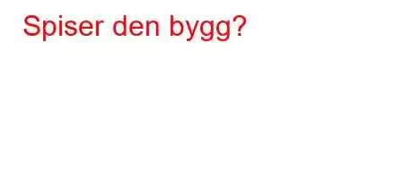 Spiser den bygg?