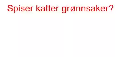 Spiser katter grønnsaker?