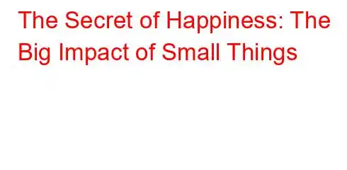 The Secret of Happiness: The Big Impact of Small Things